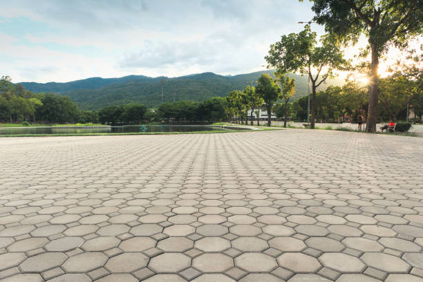 Best Driveway Paving Contractor  in Plano, IL
